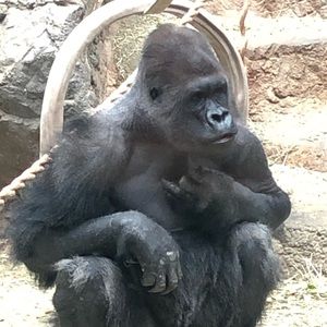 Meet your Posher, Daniel